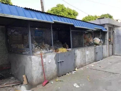 廢品站再做這類回收，就要攤上大事了！環(huán)境局提醒 一般工業(yè)固廢未按要求存放，最低罰款10萬元，嚴(yán)重的還要拘留